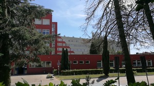 NZOZ PORADNIA CHIRURGII I TRAUMATOLOGII DZIECIĘCEJ