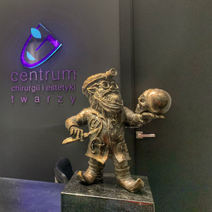 CENTRUM CHIRURGII I ESTETYKI TWARZY SP.Z O.O. SP.K.