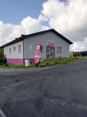 CENTRUM MEDYCZNE VINEA